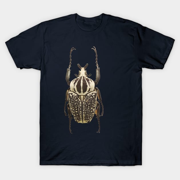 scarab T-Shirt by ghjura